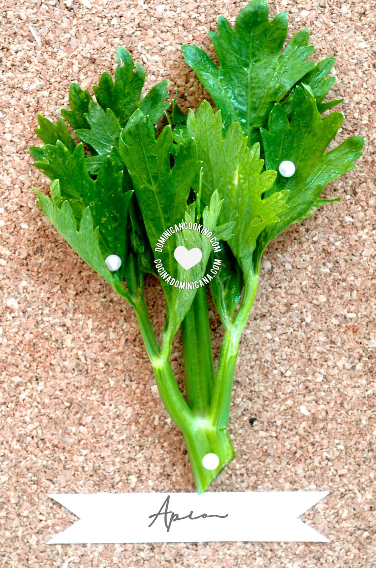 Apio.
