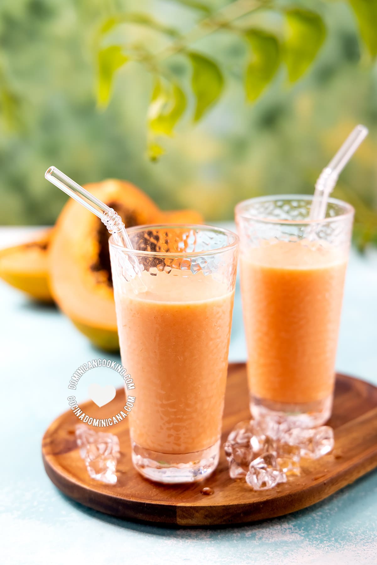 Papaya milkshake, batida de lechosa.