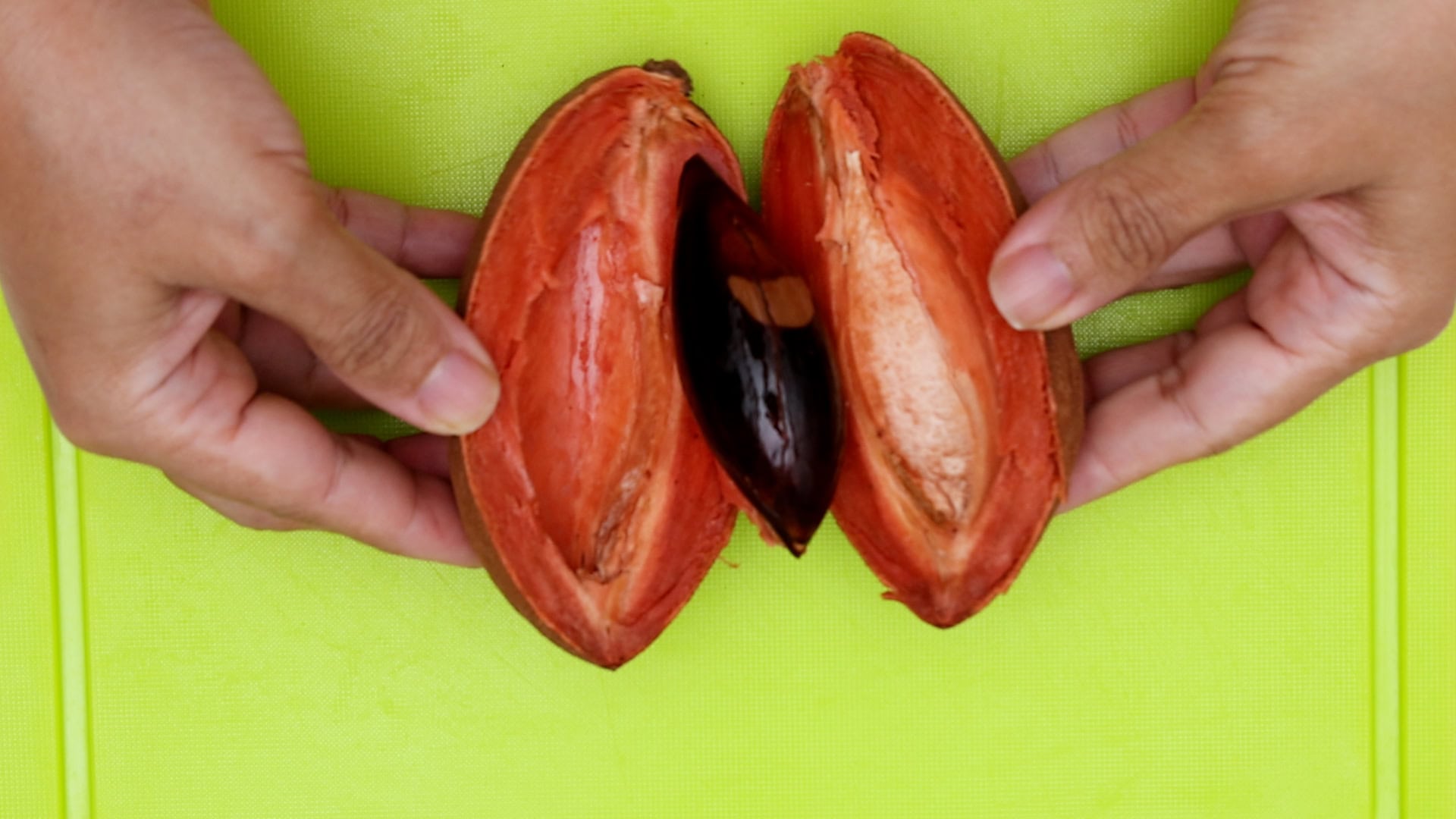 Peeling zapote (mamey).