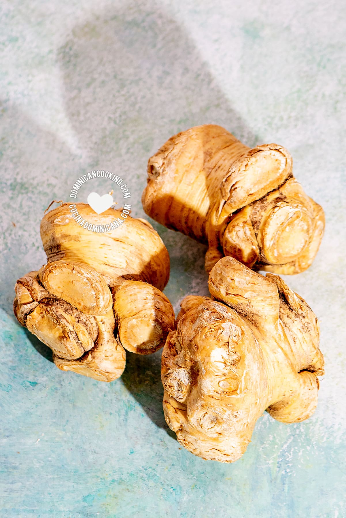 Cepa de apio (creole celery root).