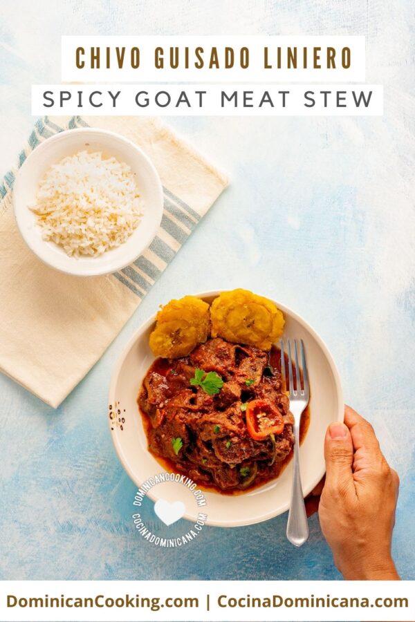 Receta de chivo guisado (spicy goat meat stew) recipe.