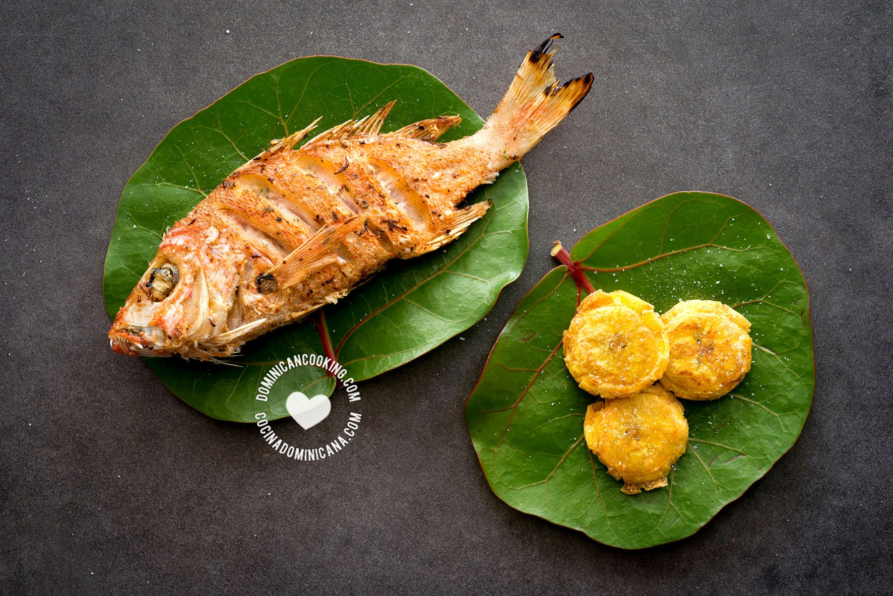 Fried fish (pescado frito).