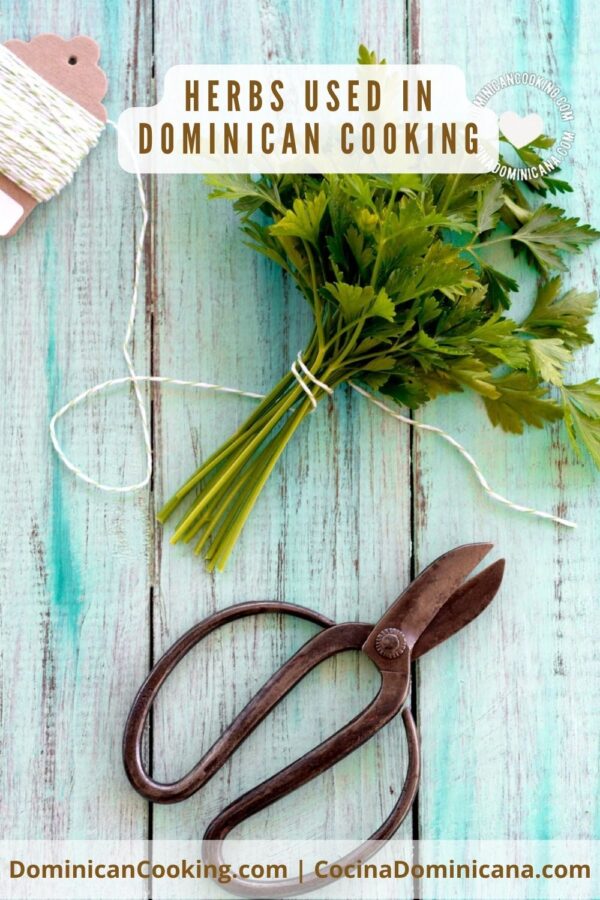 Herbs used in Dominican Cooking.