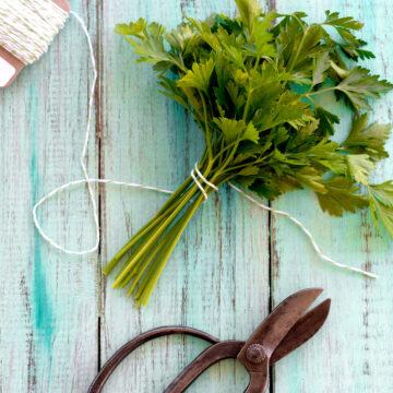 Bunch of Dominican herbs and scissors.