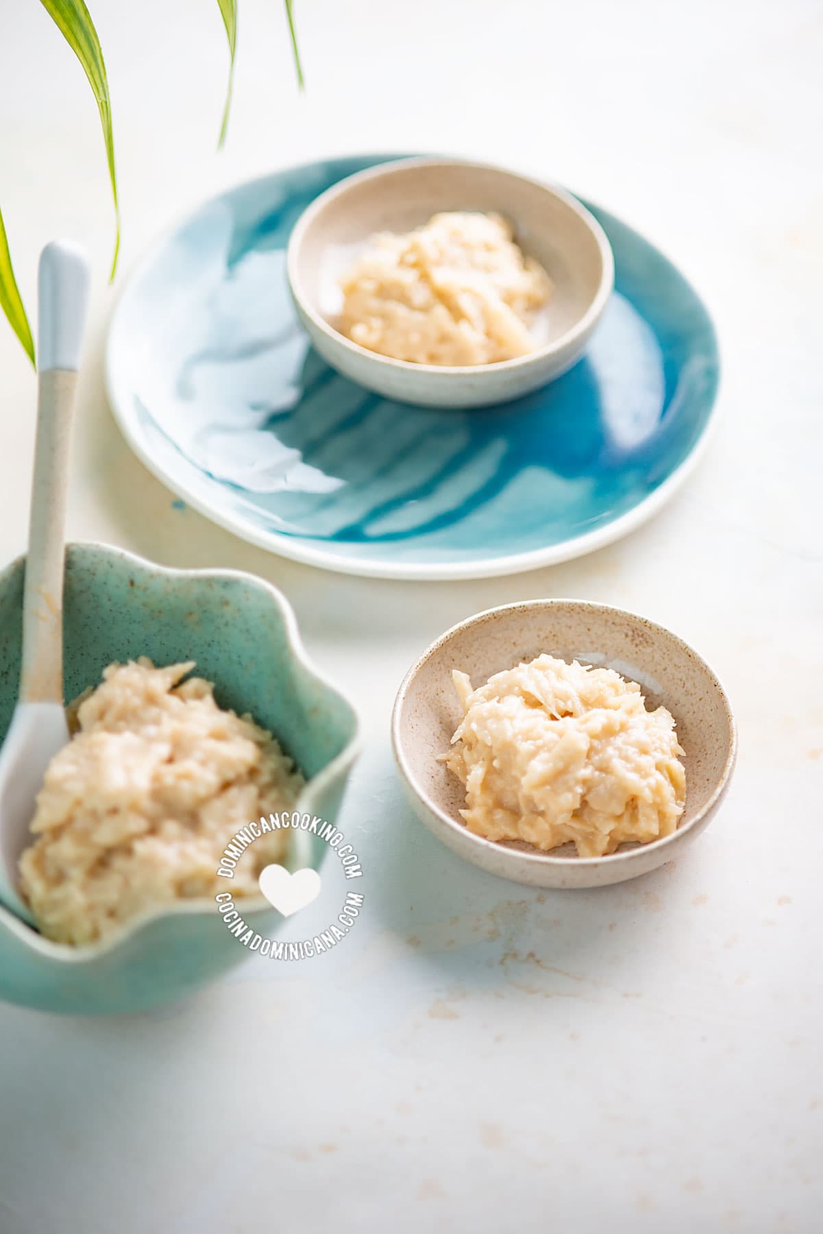 Dulce de coco (coconut and milk fudge).