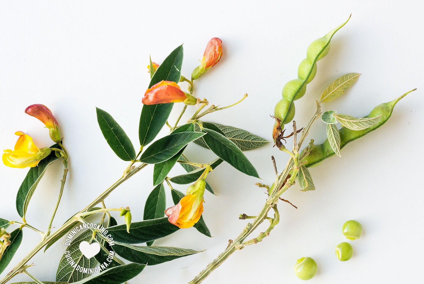 Guandules (gandules or pigeon peas).