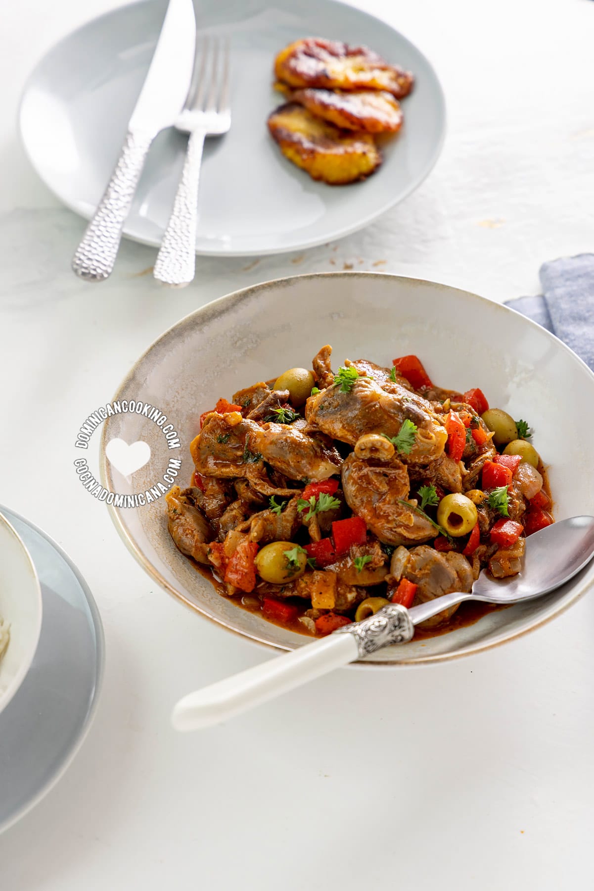 Chicken gizzard (molleja guisada).