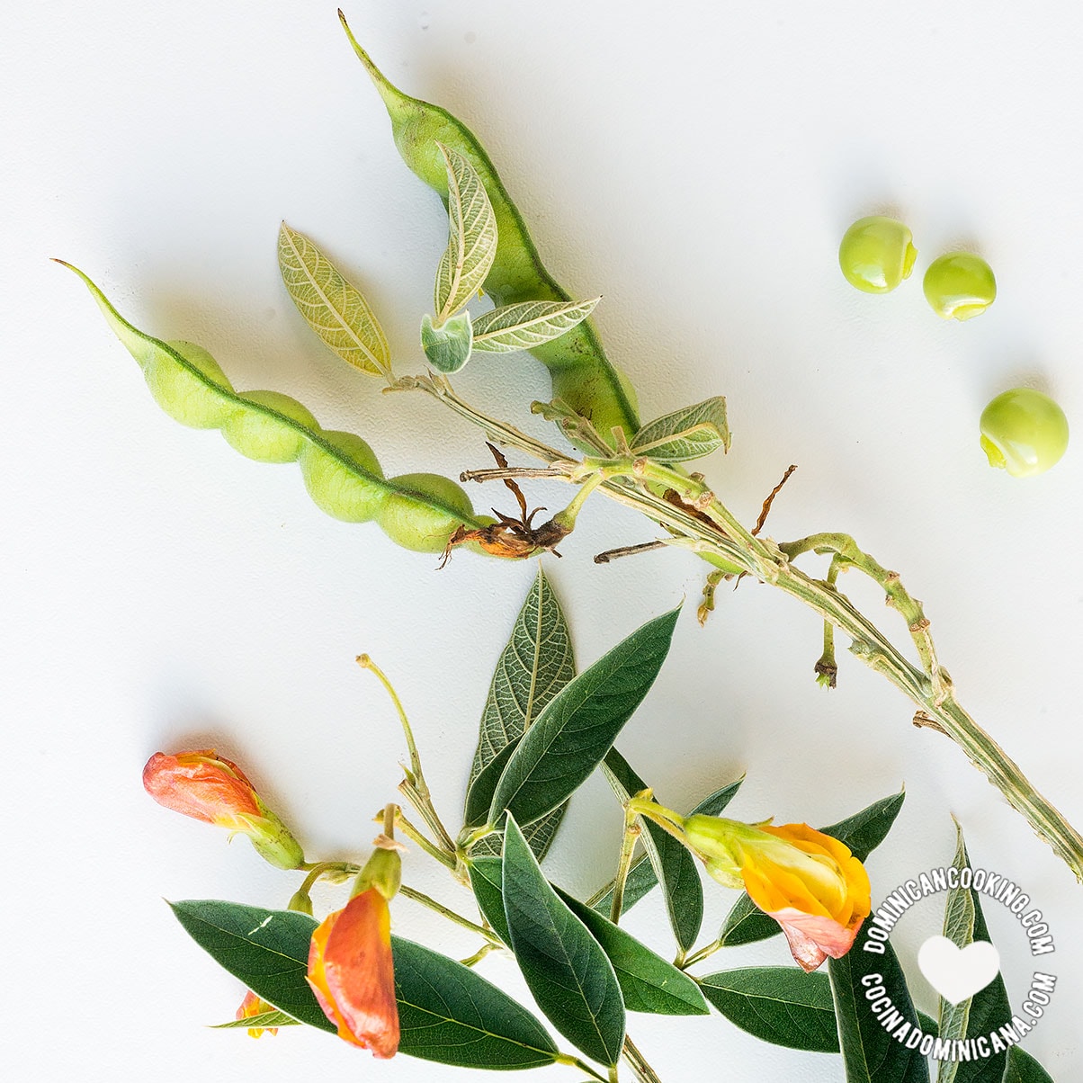 Guandules, gandules, or pigeon peas.