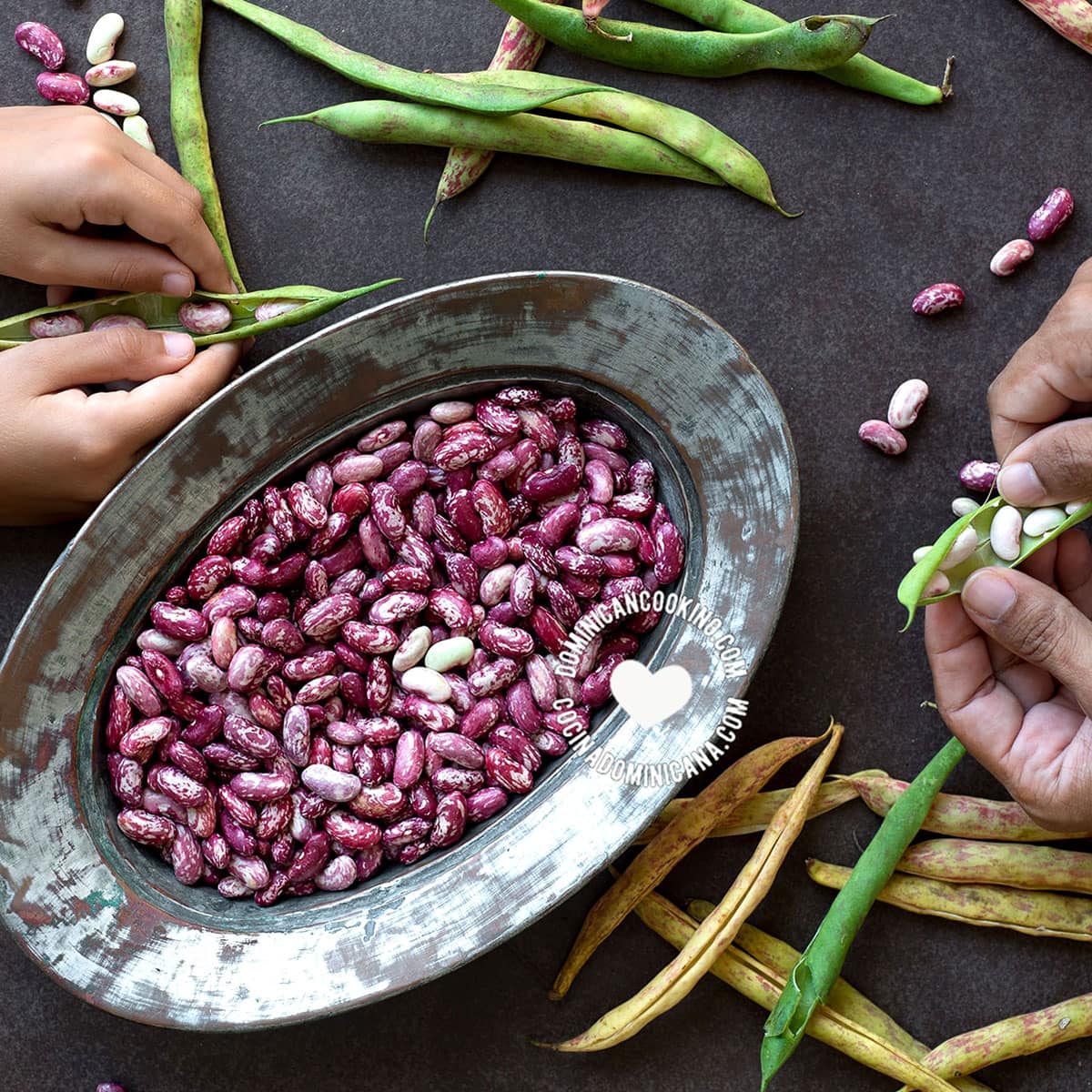 Beans (habichuelas).