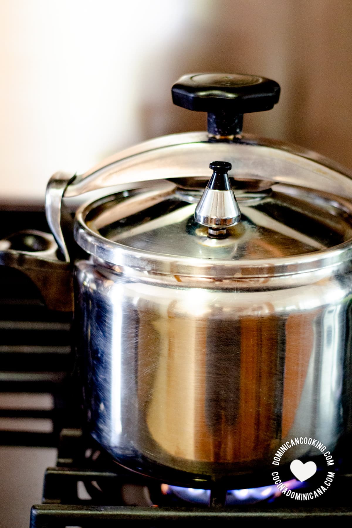 Pressure cooker on the stove.