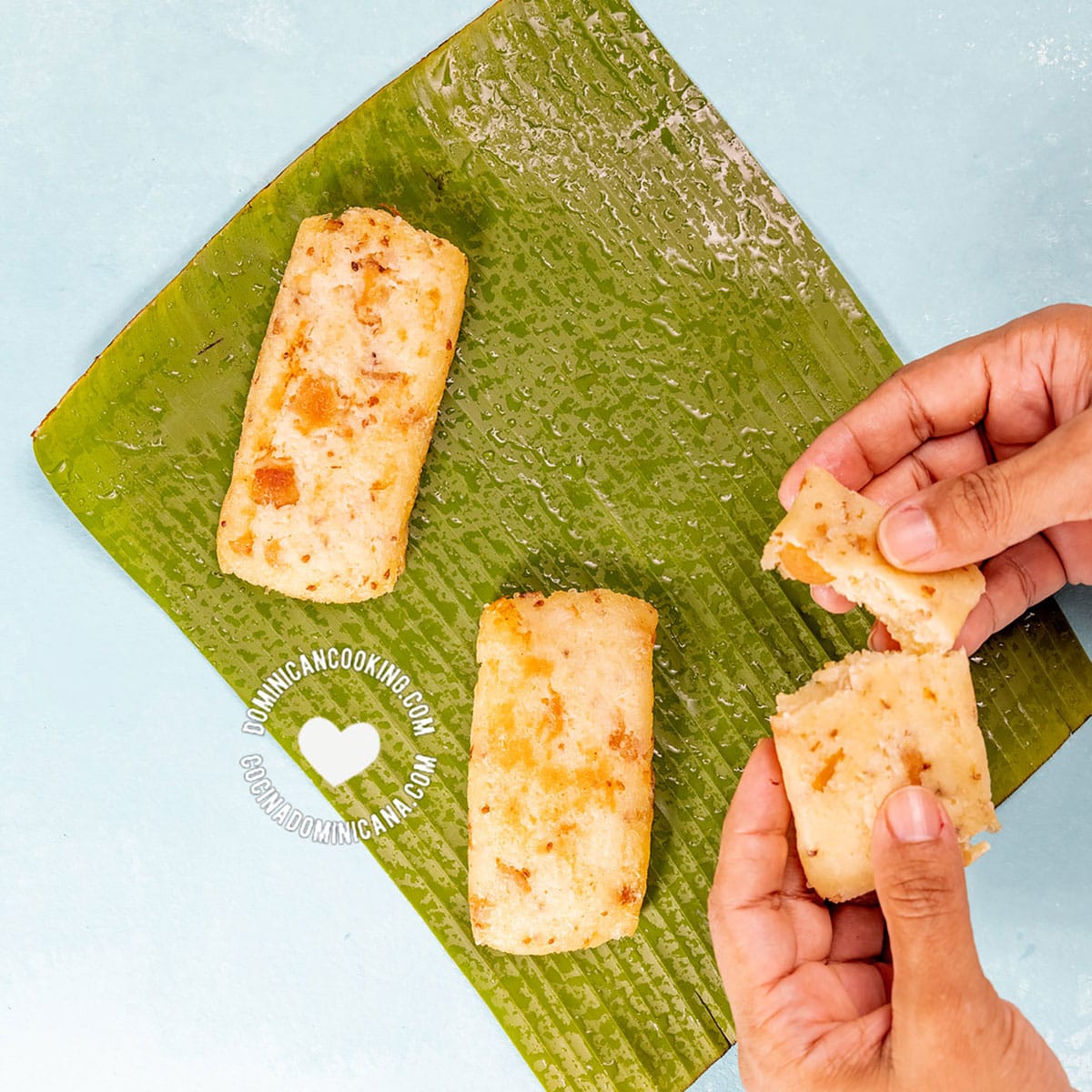 Panecico (Dominican yuca bread).