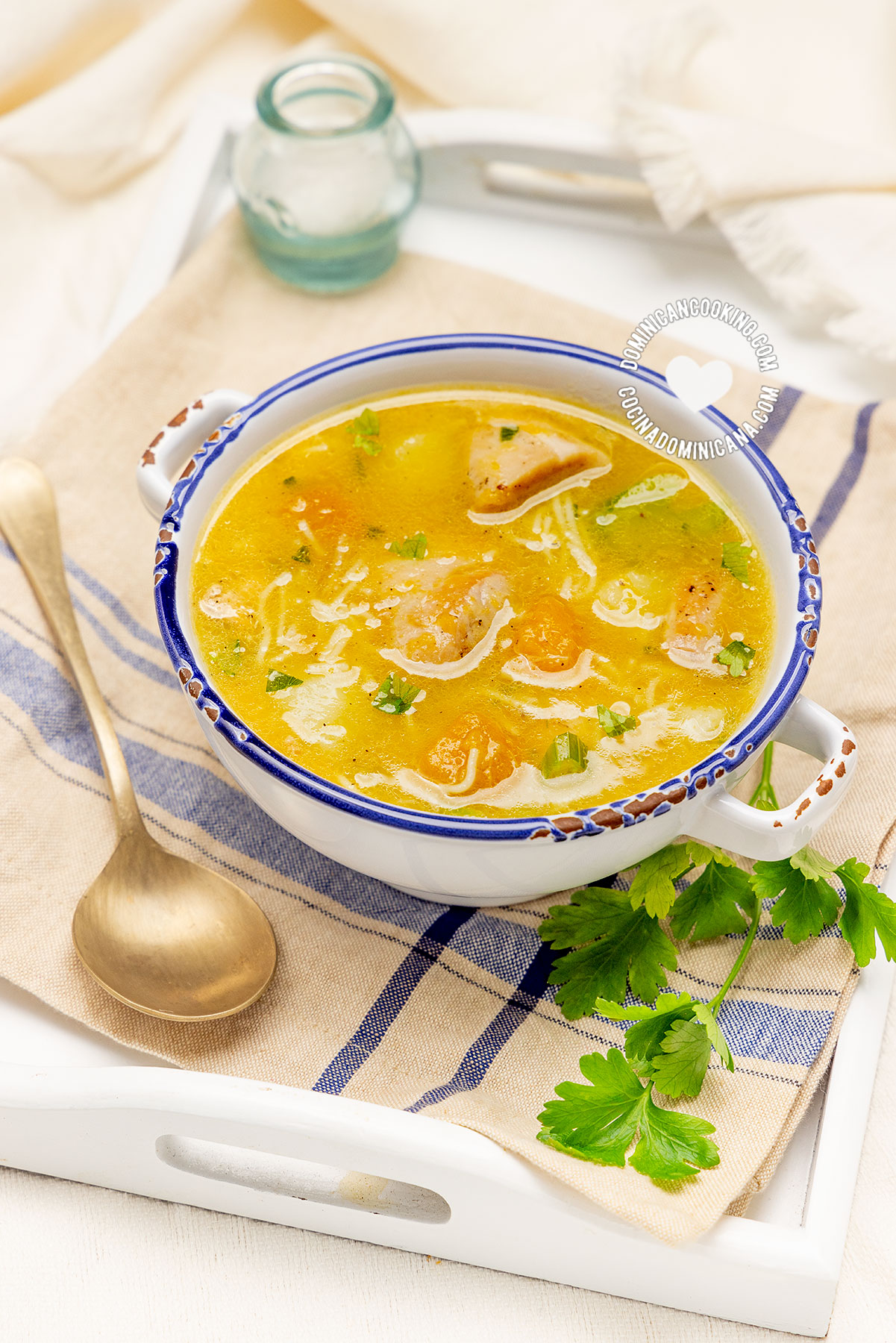 Sopa de pollo (chicken soup).