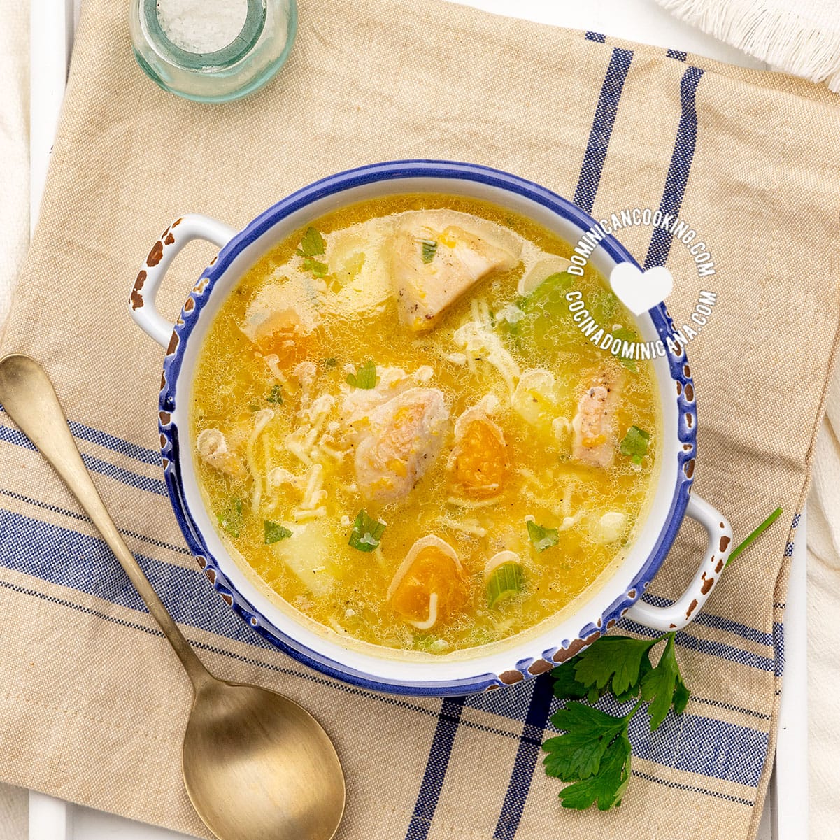 Sopa de pollo o de gallina (her or chicken soup).