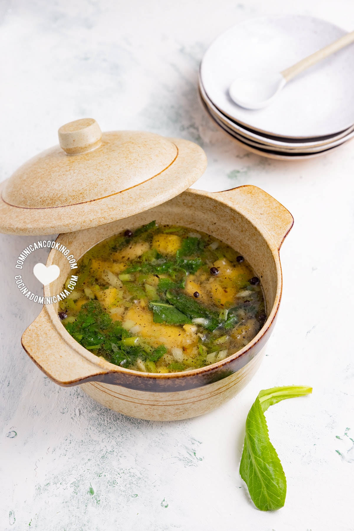 Sopa de plátano or aguaji (roasted plantain soup).