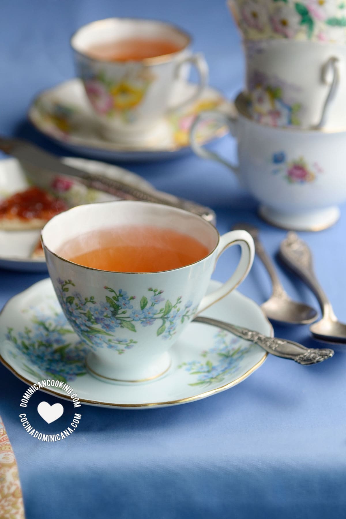 Dominican te de jengibre.