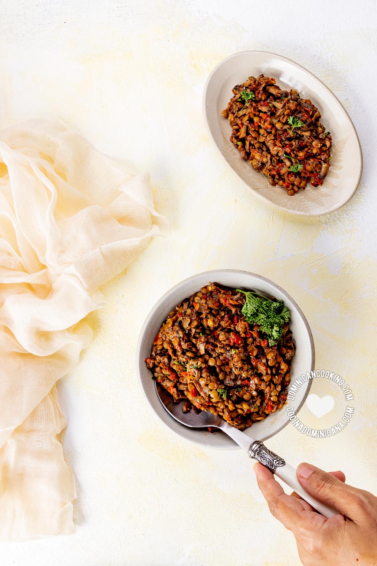 Vegan mince for empanadas y pastelones.