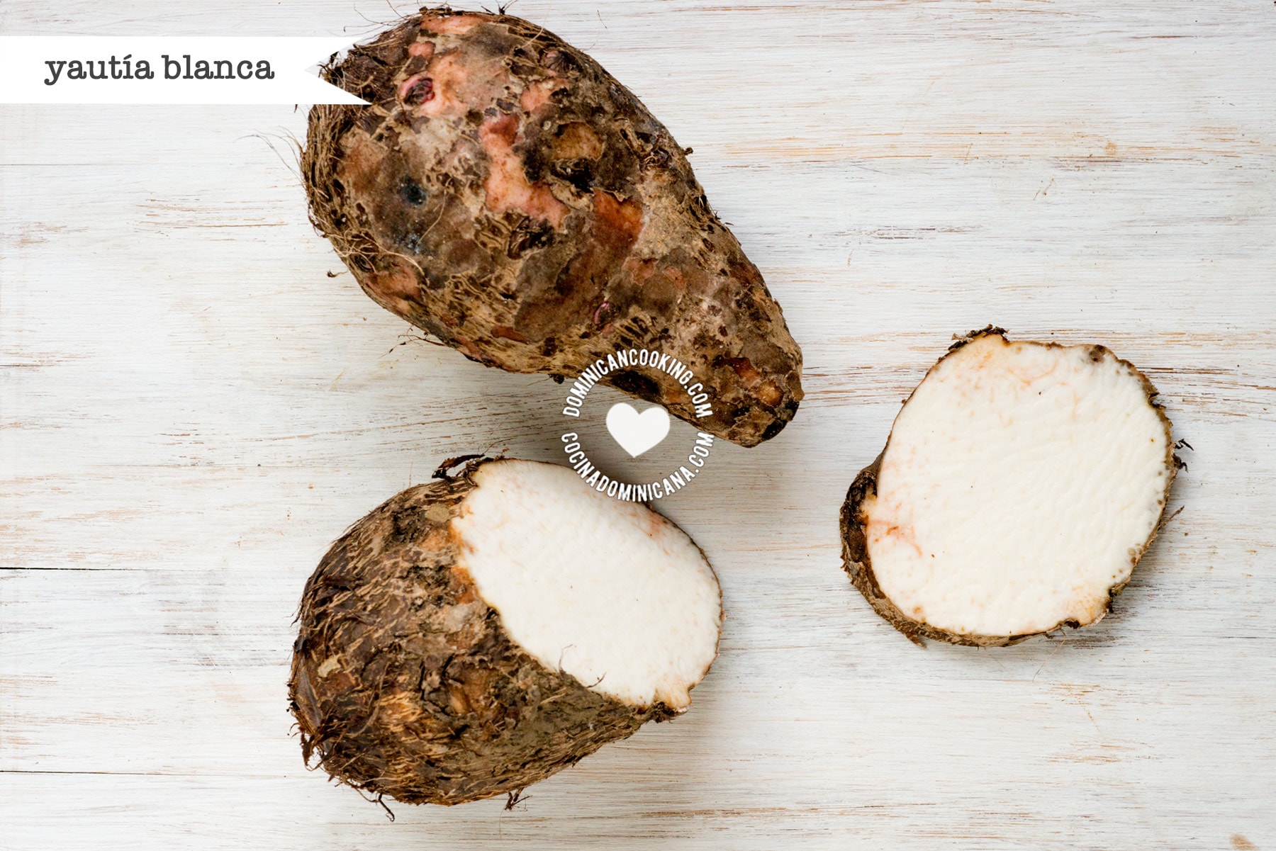 Yautía blanca (malanga).