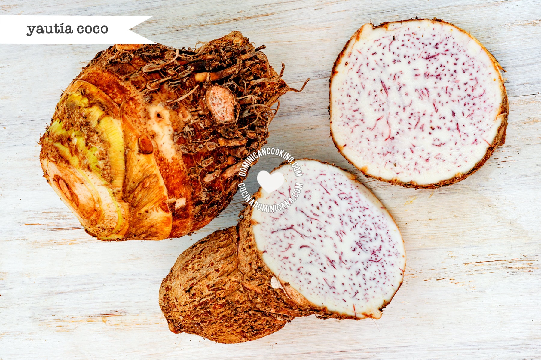 Yautía coco (cocoyam).