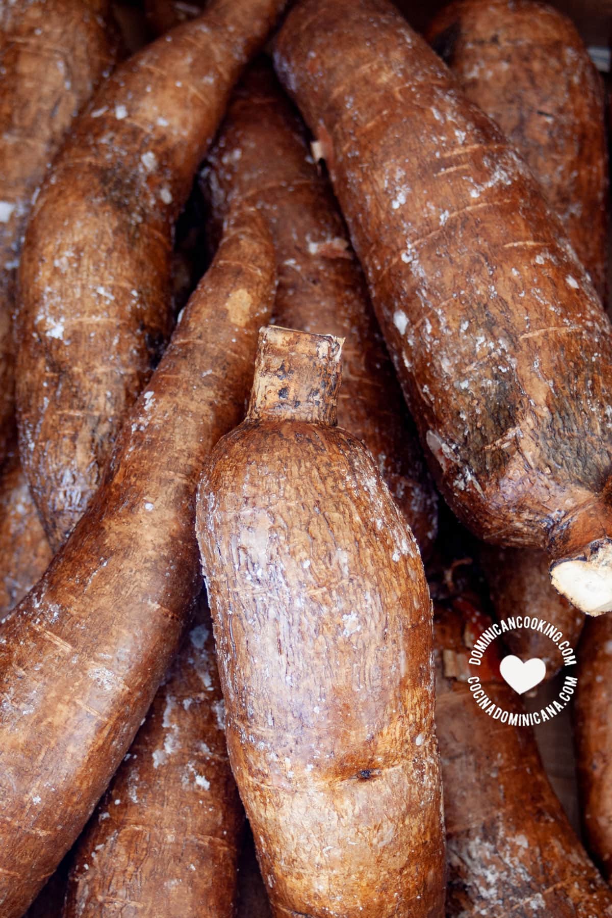 yuca (cassava root)