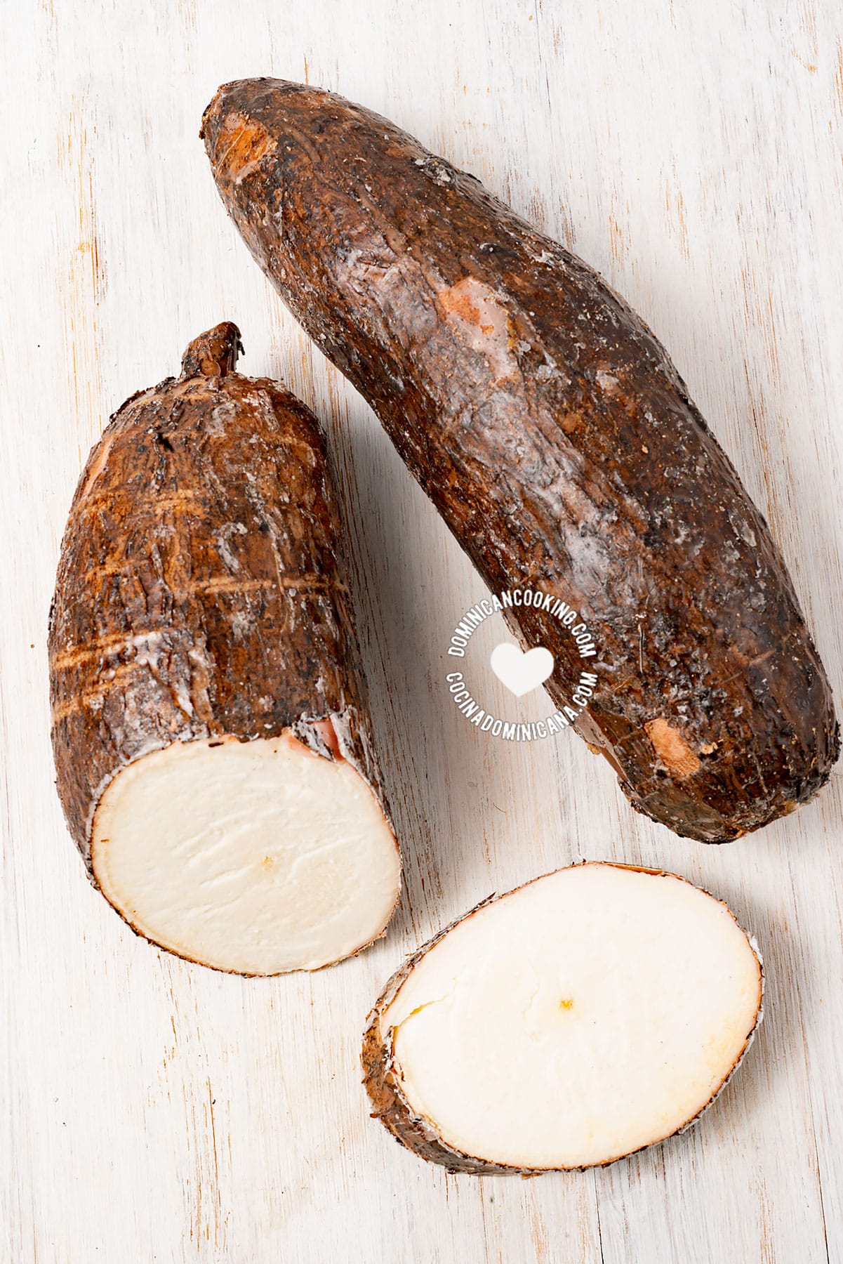 Yuca - cassava - mandioca.