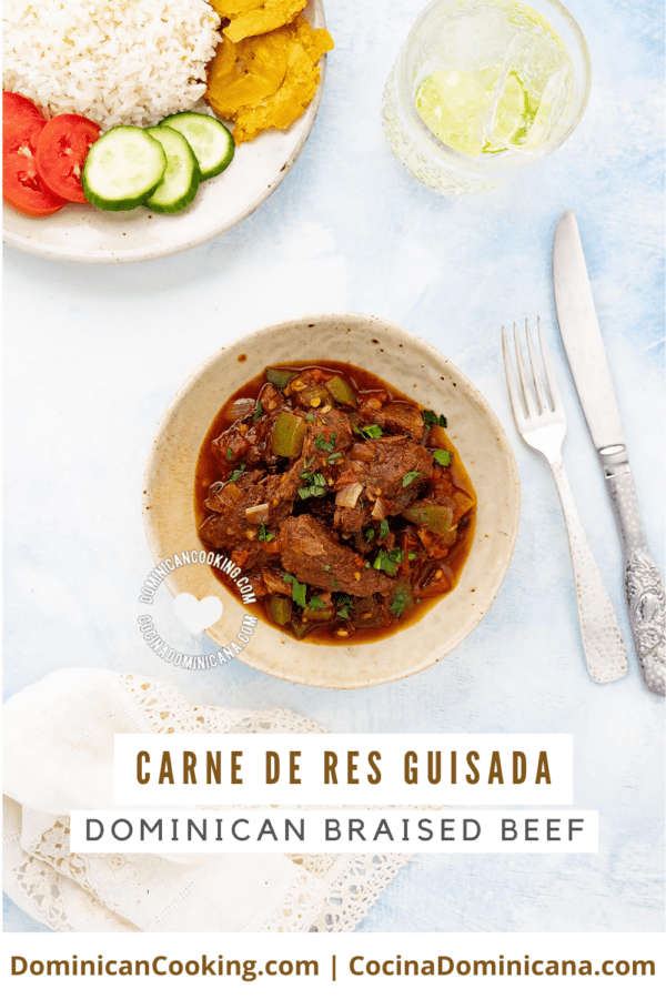 Carne de res guisada (braised beef stew)