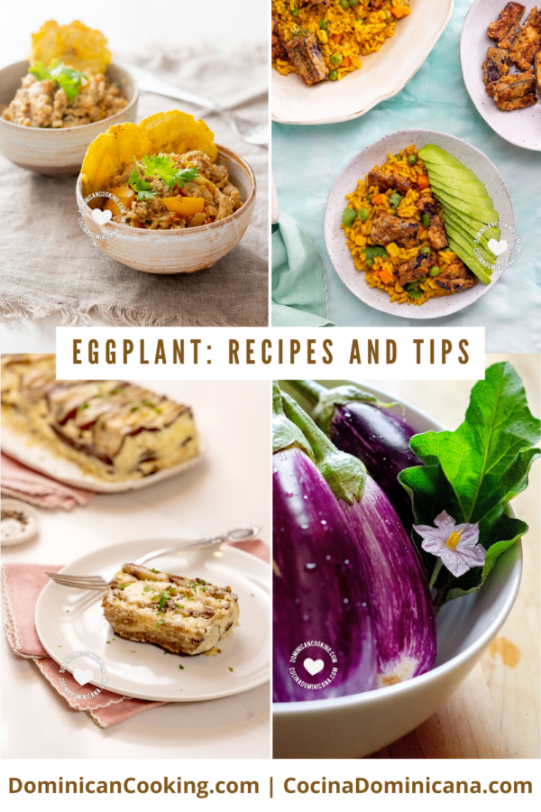 Eggplant recipes berenjena.